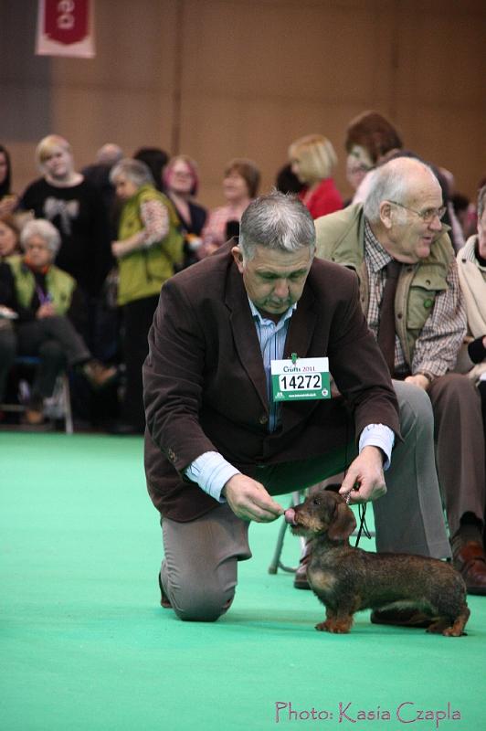 Crufts2011_2 1096.jpg